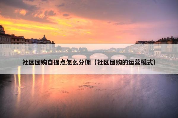 社区团购自提点怎么分佣（社区团购的运营模式）
