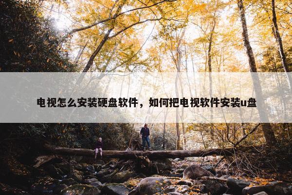 电视怎么安装硬盘软件，如何把电视软件安装u盘