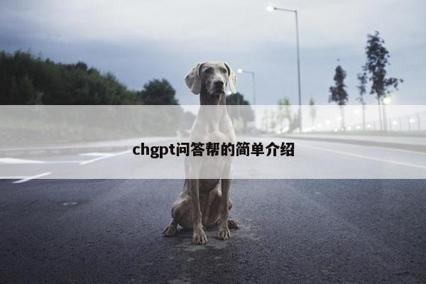 chgpt问答帮的简单介绍