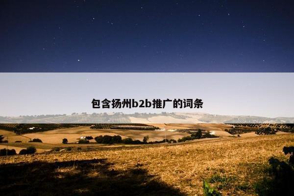 包含扬州b2b推广的词条