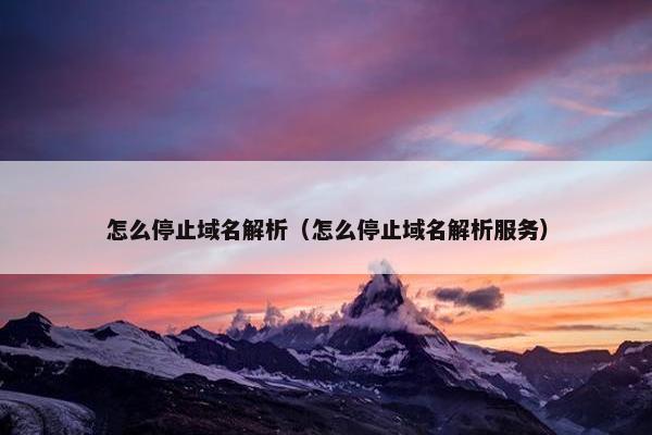 怎么停止域名解析（怎么停止域名解析服务）