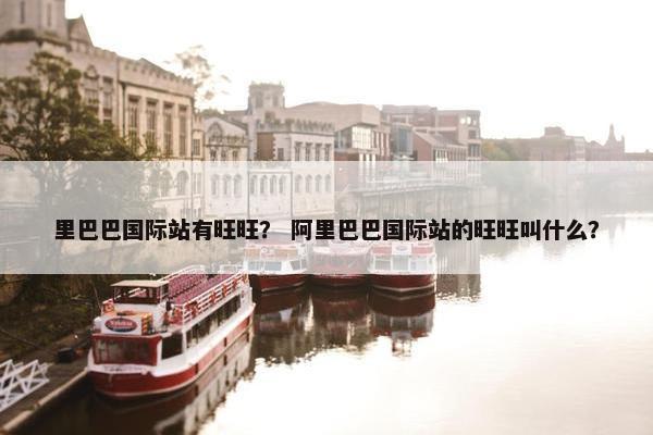 里巴巴国际站有旺旺？ 阿里巴巴国际站的旺旺叫什么？