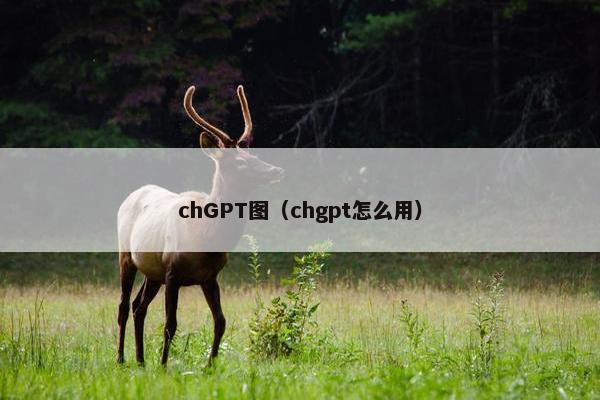 chGPT图（chgpt怎么用）