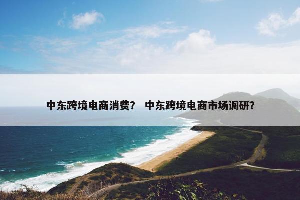 中东跨境电商消费？ 中东跨境电商市场调研？