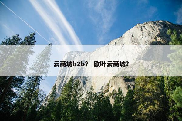 云商城b2b？ 欧叶云商城？