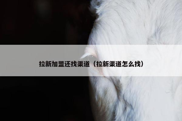 拉新加盟还找渠道（拉新渠道怎么找）