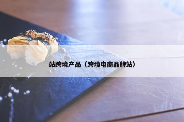 站跨境产品（跨境电商品牌站）
