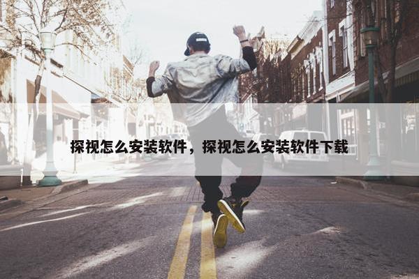 探视怎么安装软件，探视怎么安装软件下载