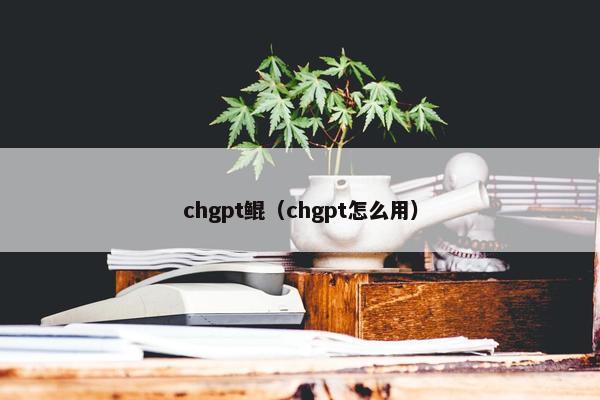 chgpt鲲（chgpt怎么用）