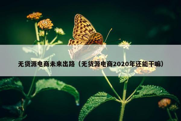 无货源电商未来出路（无货源电商2020年还能干嘛）