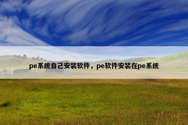 pe系统自己安装软件，pe软件安装在pe系统