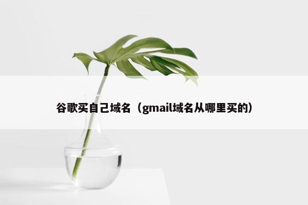 谷歌买自己域名（gmail域名从哪里买的）