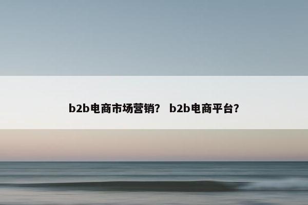 b2b电商市场营销？ b2b电商平台？