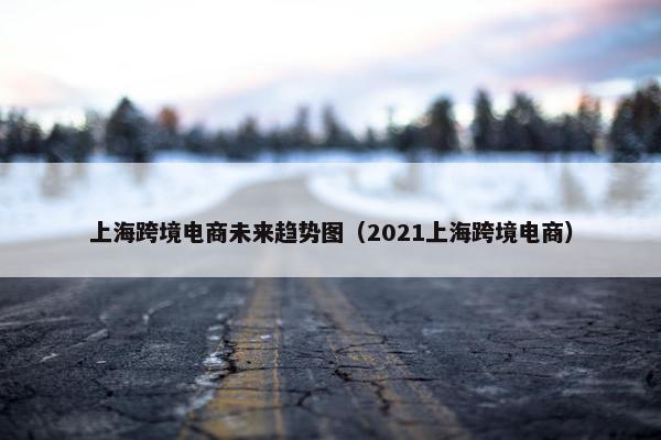 上海跨境电商未来趋势图（2021上海跨境电商）