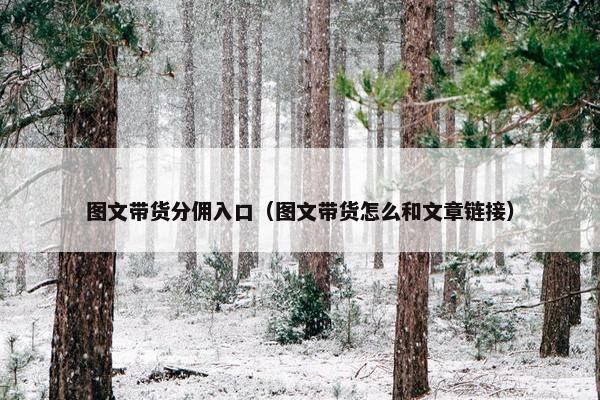 图文带货分佣入口（图文带货怎么和文章链接）