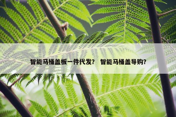 智能马桶盖板一件代发？ 智能马桶盖导购？