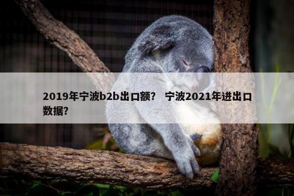 2019年宁波b2b出口额？ 宁波2021年进出口数据？