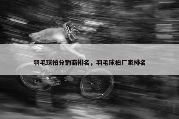 羽毛球拍分销商排名，羽毛球拍厂家排名