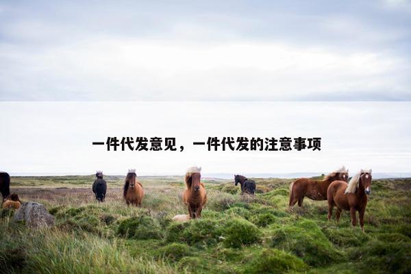 一件代发意见，一件代发的注意事项