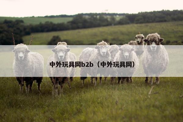 中外玩具网b2b（中外玩具网）
