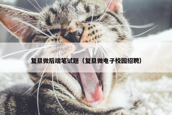 复旦微后端笔试题（复旦微电子校园招聘）