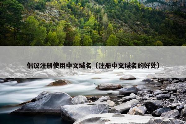 倡议注册使用中文域名（注册中文域名的好处）