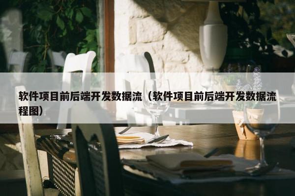 软件项目前后端开发数据流（软件项目前后端开发数据流程图）