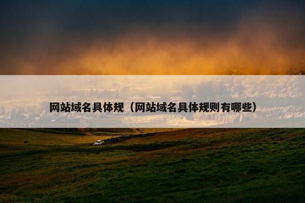 网站域名具体规（网站域名具体规则有哪些）