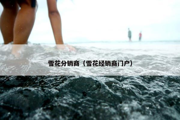 雪花分销商（雪花经销商门户）