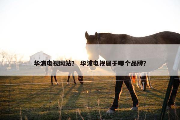 华浦电视网站？ 华浦电视属于哪个品牌？