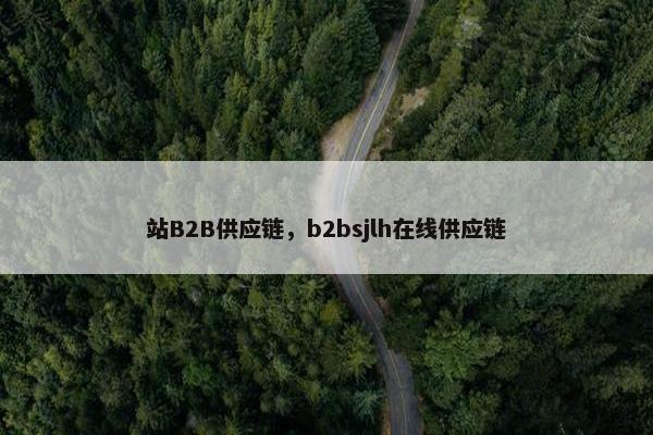 站B2B供应链，b2bsjlh在线供应链
