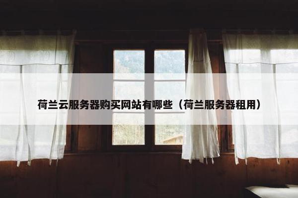 荷兰云服务器购买网站有哪些（荷兰服务器租用）