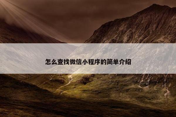 怎么查找微信小程序的简单介绍
