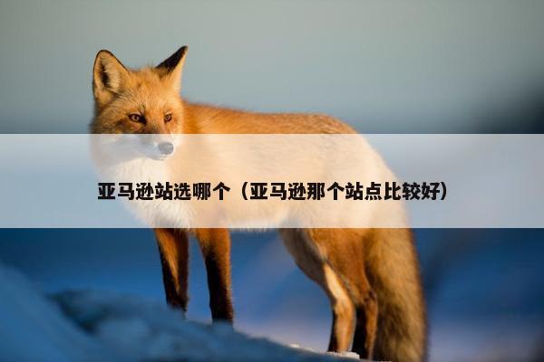 亚马逊站选哪个（亚马逊那个站点比较好）
