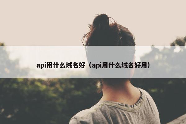 api用什么域名好（api用什么域名好用）