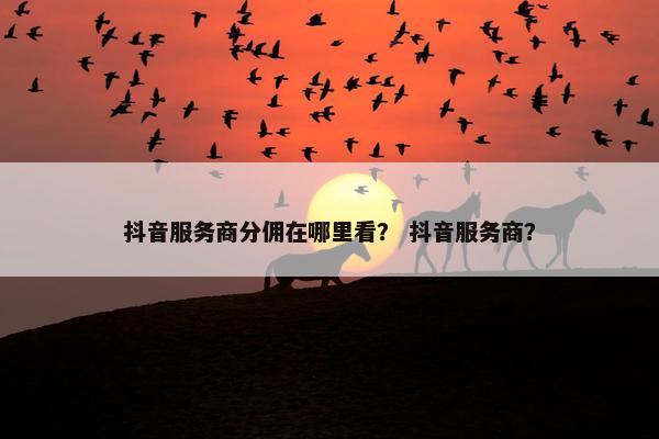 抖音服务商分佣在哪里看？ 抖音服务商？