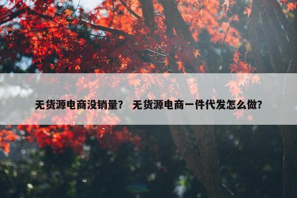 无货源电商没销量？ 无货源电商一件代发怎么做？