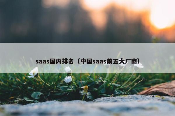saas国内排名（中国saas前五大厂商）