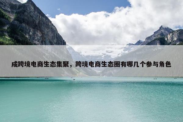 成跨境电商生态集聚，跨境电商生态圈有哪几个参与角色