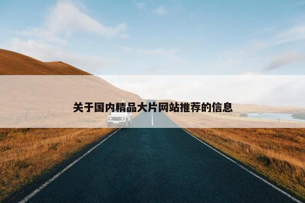 关于国内精品大片网站推荐的信息