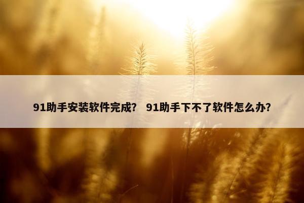 91助手安装软件完成？ 91助手下不了软件怎么办？
