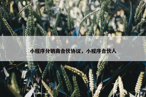 小程序分销商合伙协议，小程序合伙人