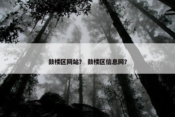鼓楼区网站？ 鼓楼区信息网？