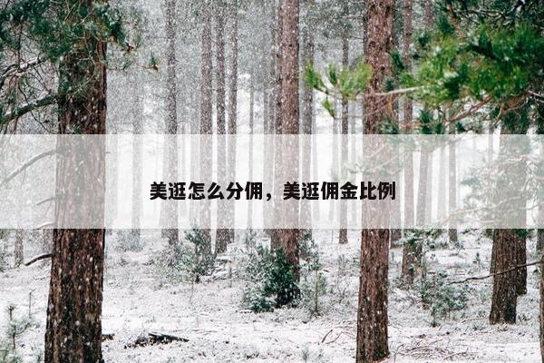 美逛怎么分佣，美逛佣金比例