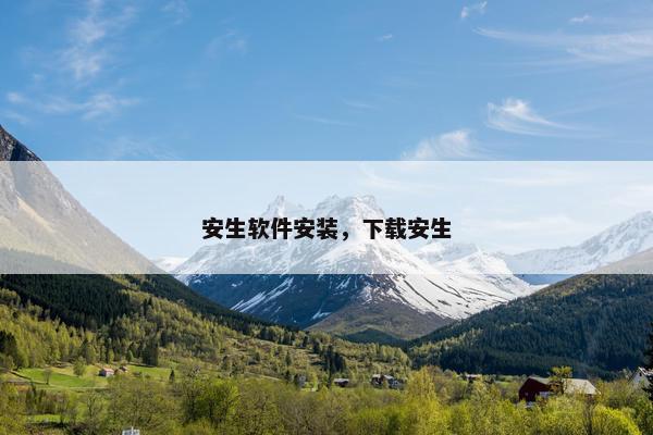 安生软件安装，下载安生