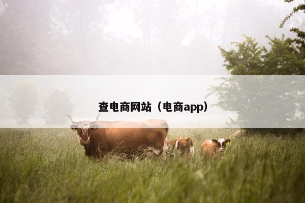查电商网站（电商app）