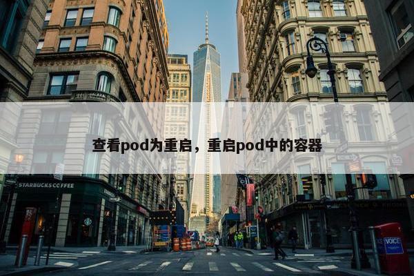 查看pod为重启，重启pod中的容器