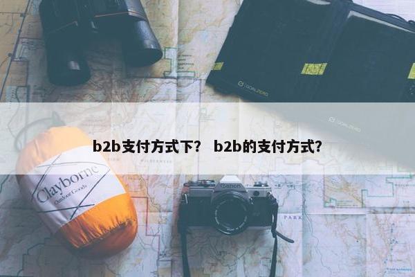 b2b支付方式下？ b2b的支付方式？