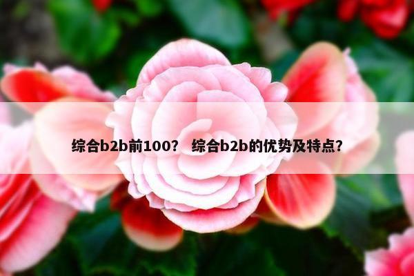 综合b2b前100？ 综合b2b的优势及特点？
