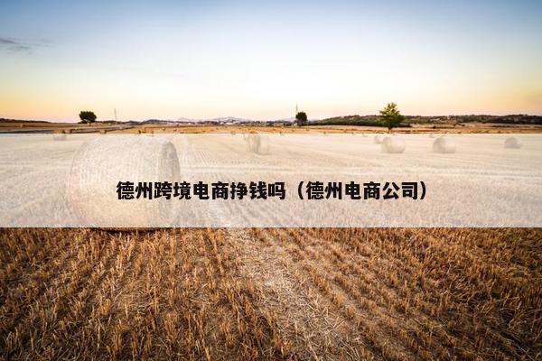 德州跨境电商挣钱吗（德州电商公司）